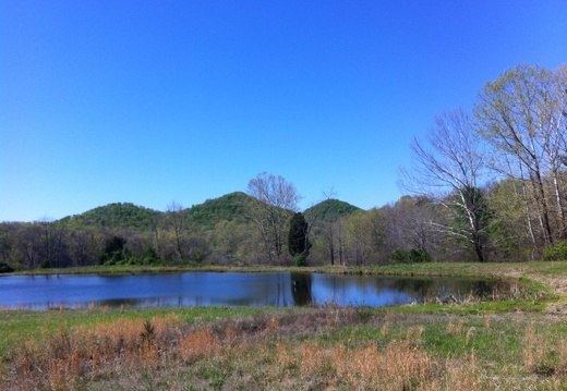 Lakeview Trail